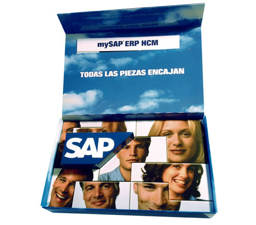 sap puzzle 2